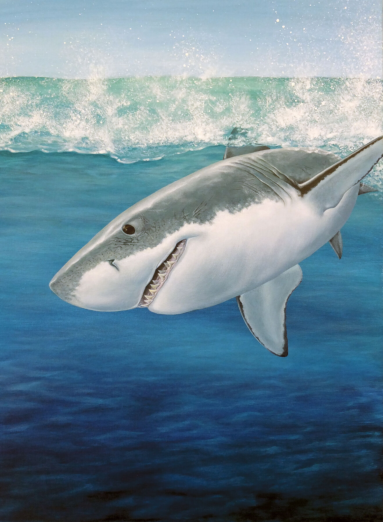 Original painting of a great white shark