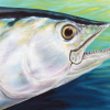 Original painting of a dogtooth tuna