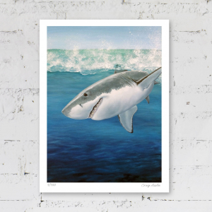 Limited edition print of a shark